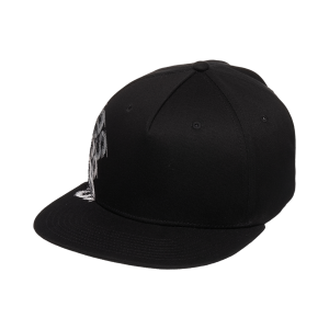 Men's DC Omega 2 Cap